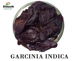 Dried Garcinia Indica
